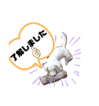 Latteくん挨拶（個別スタンプ：12）