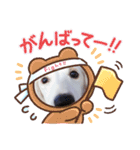 Latteくん挨拶（個別スタンプ：13）