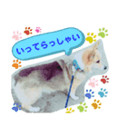 コーギーのコロン君（個別スタンプ：4）