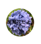 6月の紫陽花！（個別スタンプ：2）