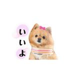 ふぅたんスタンプ2021（個別スタンプ：6）