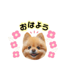 ふぅたんスタンプ2021（個別スタンプ：21）