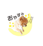 ふぅたんスタンプ2021（個別スタンプ：22）