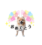 ふぅたんスタンプ2021（個別スタンプ：40）