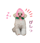 ダンドゥビ（個別スタンプ：5）