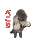 ダンドゥビ（個別スタンプ：9）