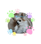 癒やしのかわいさメッセージスタンプ（個別スタンプ：2）