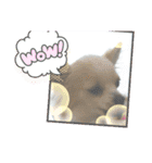 癒やしのかわいさメッセージスタンプ（個別スタンプ：12）