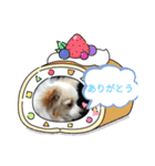 癒やしのかわいさメッセージスタンプ（個別スタンプ：13）