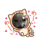 癒やしのかわいさメッセージスタンプ（個別スタンプ：16）