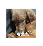 オレ、レオン（個別スタンプ：5）