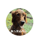 オレ、レオン（個別スタンプ：6）
