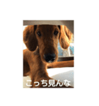 オレ、レオン（個別スタンプ：7）