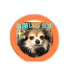 嵐くんと楓ちゃん（個別スタンプ：6）