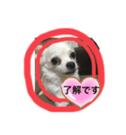 嵐くんと楓ちゃん（個別スタンプ：7）