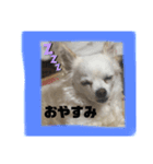 嵐くんと楓ちゃん（個別スタンプ：8）