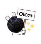 ケンシロウ猫（個別スタンプ：6）