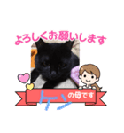 ケンシロウ猫（個別スタンプ：7）