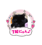 ケンシロウ猫（個別スタンプ：8）