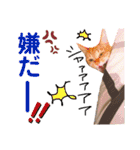 茶トラ(♀)日和（個別スタンプ：40）