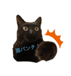 まめルー（個別スタンプ：1）