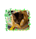 べるスタ（個別スタンプ：2）