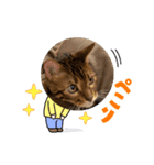 べるスタ（個別スタンプ：4）