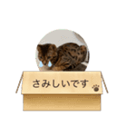べるスタ（個別スタンプ：7）