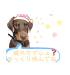 buck＆ash（個別スタンプ：4）