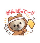 Maronだよ（個別スタンプ：5）
