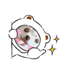Maronだよ（個別スタンプ：6）