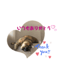 ミュウです。（個別スタンプ：8）