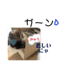 ミュウです。（個別スタンプ：9）