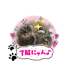 オーラッキー＆お嬢（個別スタンプ：8）