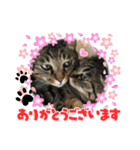 オーラッキー＆お嬢（個別スタンプ：9）