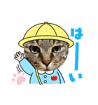 オーラッキー＆お嬢（個別スタンプ：12）