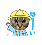 オーラッキー＆お嬢（個別スタンプ：13）