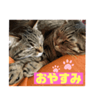 オーラッキー＆お嬢（個別スタンプ：14）