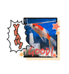 仲良し金魚☆（個別スタンプ：10）