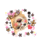 かいくんのラブ❤️びーむ（個別スタンプ：5）