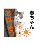 かいくんのラブ❤️びーむ（個別スタンプ：6）
