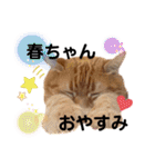 かいくんのラブ❤️びーむ（個別スタンプ：17）
