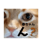 かいくんのラブ❤️びーむ（個別スタンプ：24）