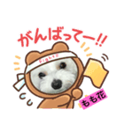 もも花スタンプ（個別スタンプ：3）