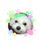 もも花スタンプ（個別スタンプ：7）