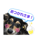 チワックスららのスタンプ（個別スタンプ：6）