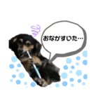 チワックスららのスタンプ（個別スタンプ：7）