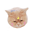 む～（個別スタンプ：1）