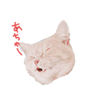 む～（個別スタンプ：2）