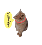 む～（個別スタンプ：7）